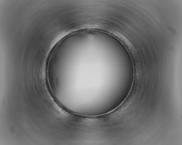 X0000111520894200907141505