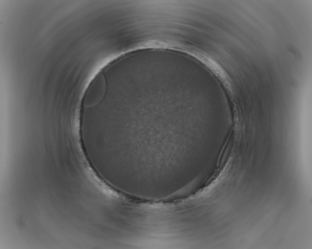 X0000111520896200907141505