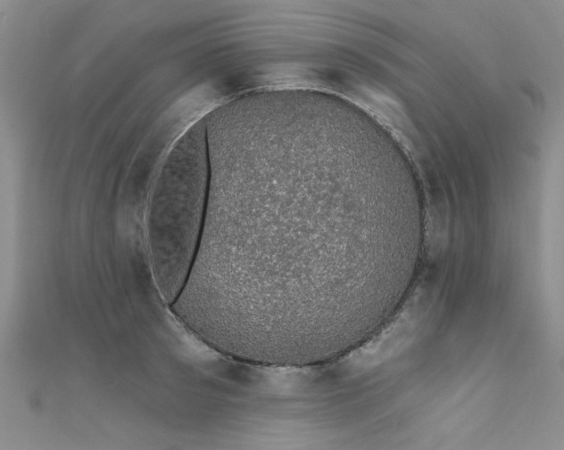 X0000111520897200907141505