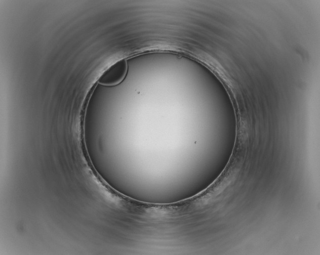 X0000111520898200907141505
