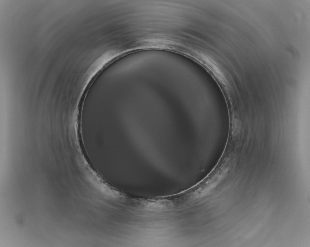 X0000111520899200907141505