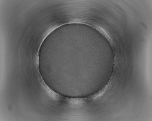 X0000111520900200907141505