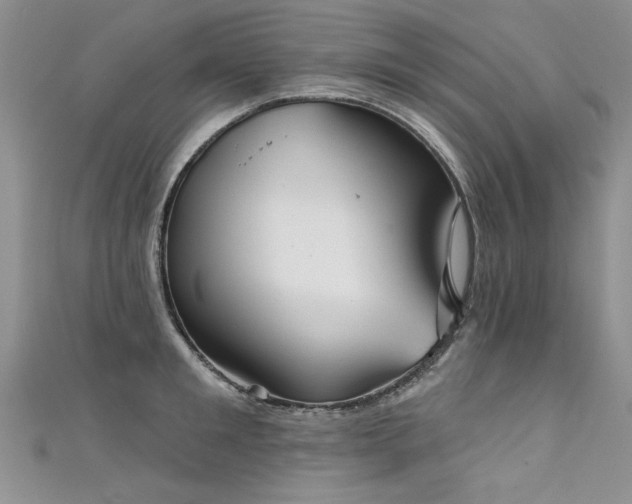 X0000111520901200907141505