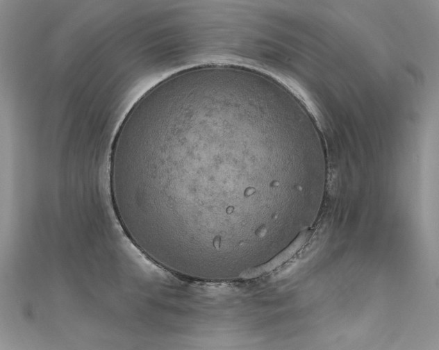 X0000111520903200907141505