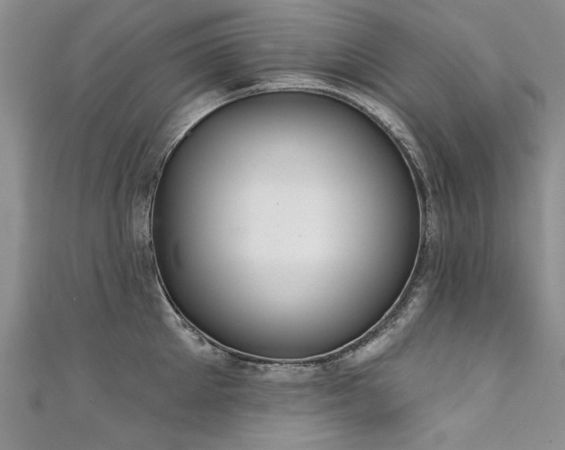 X0000111520905200907141505