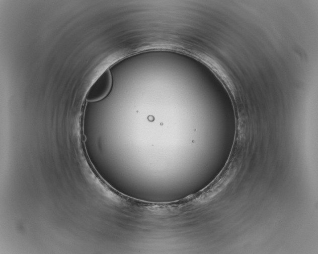 X0000111520906200907141505