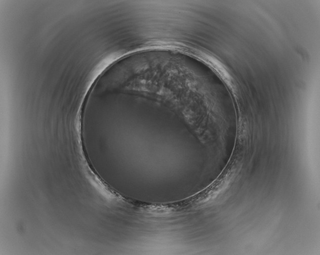 X0000111520907200907141505