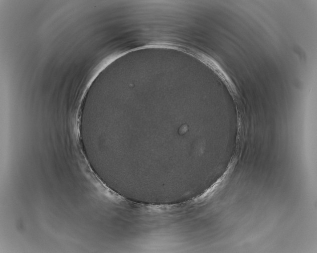 X0000111520908200907141505