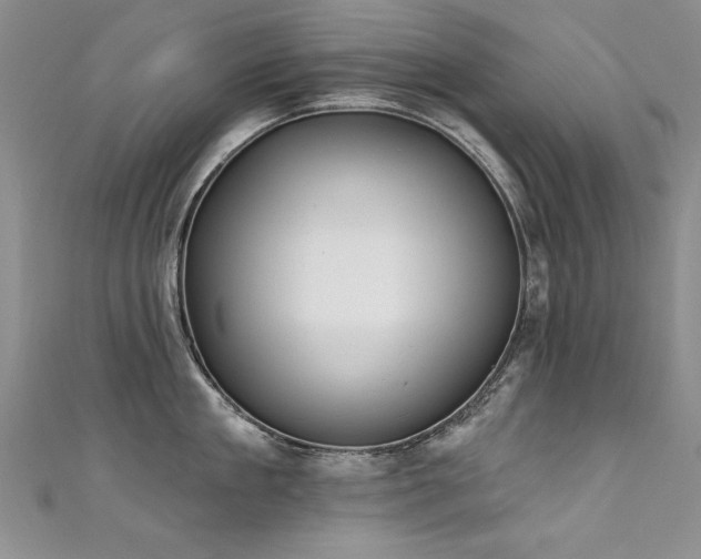 X0000111520909200907141505