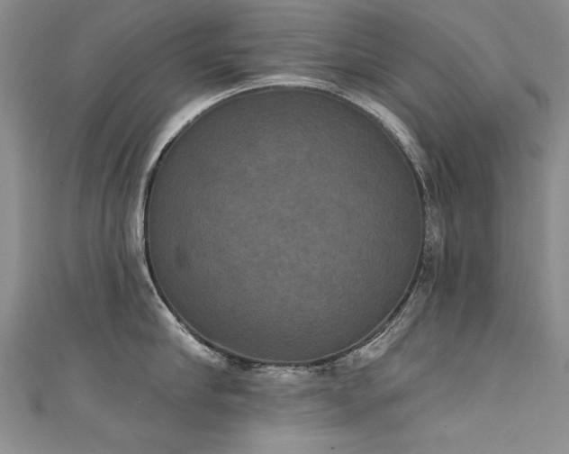 X0000111520910200907141505