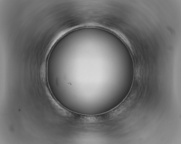 X0000111520911200907141505
