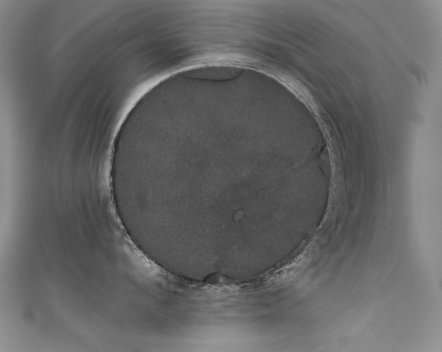X0000111520912200907141505