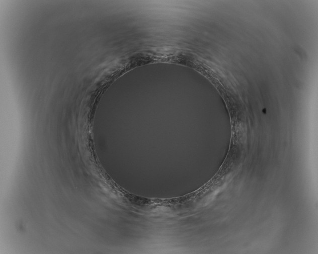 X0000111520913200907141504