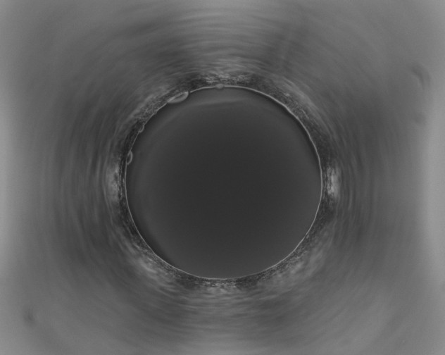 X0000111520915200907141504