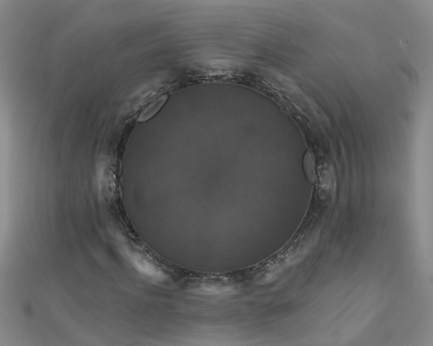 X0000111520916200907141504