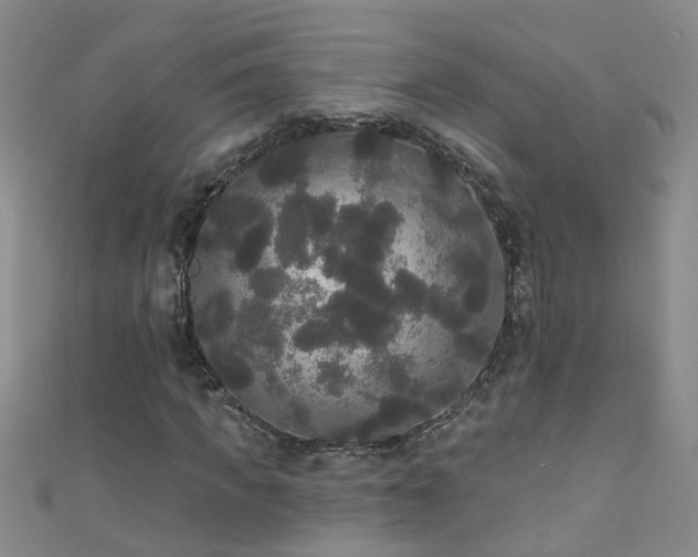 X0000111520917200907141504
