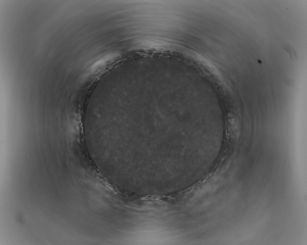 X0000111520918200907141504
