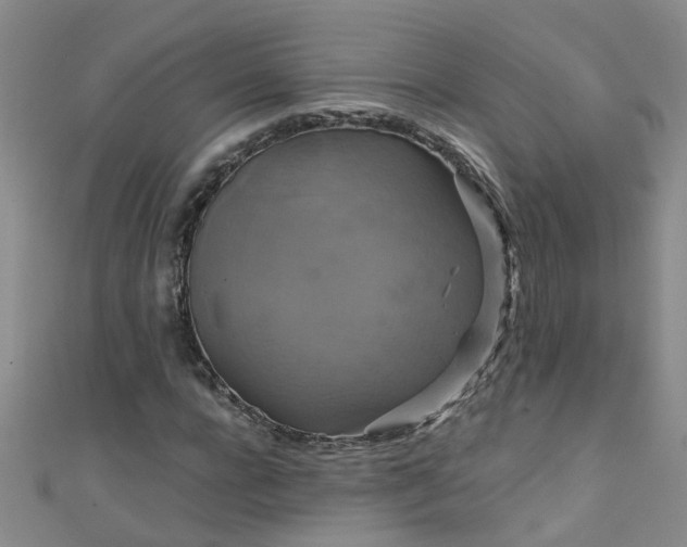 X0000111520920200907141504
