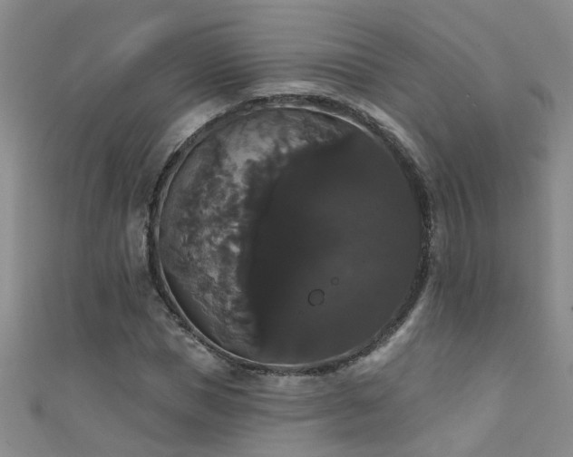 X0000111520921200907141504