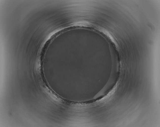 X0000111520923200907141504