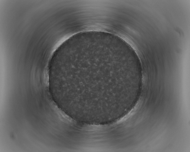 X0000111520925200907141504