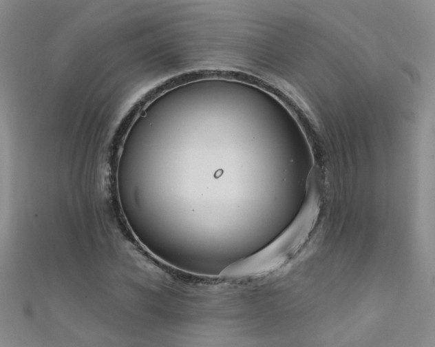 X0000111520926200907141505