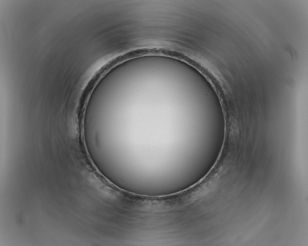 X0000111520927200907141505