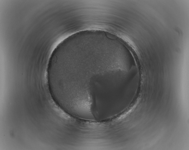 X0000111520928200907141505