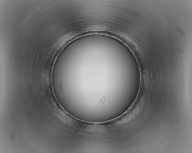 X0000111520929200907141505