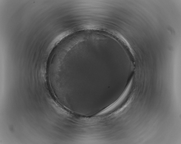X0000111520930200907141505