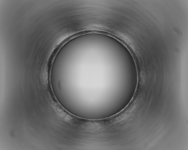 X0000111520931200907141505