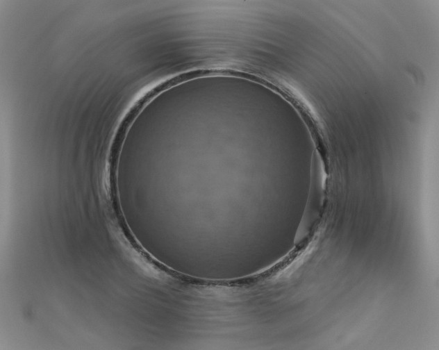 X0000111520932200907141505