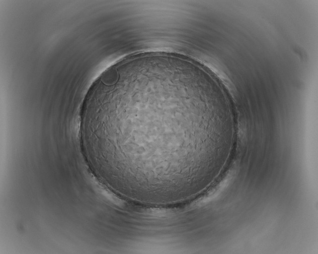 X0000111520933200907141505
