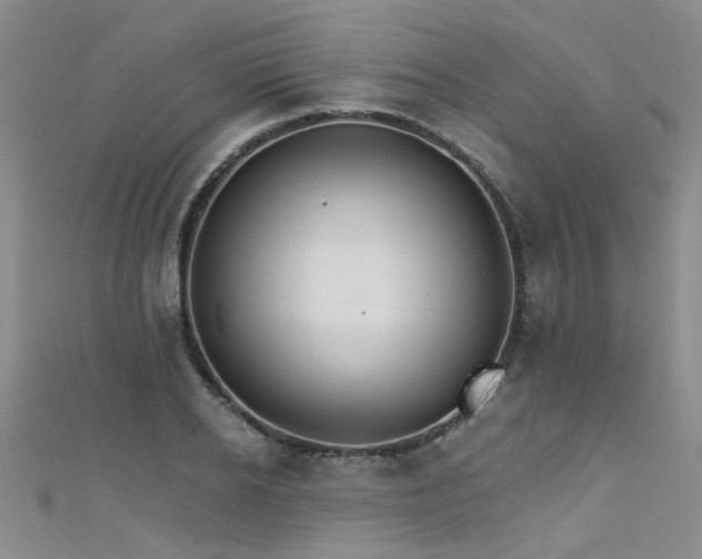 X0000111520934200907141505