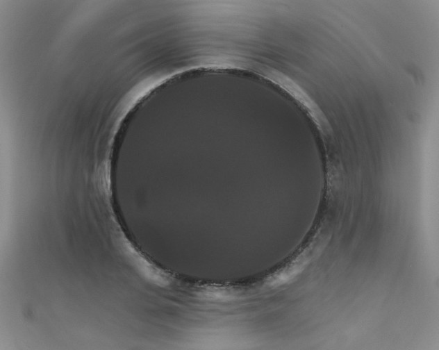 X0000111520935200907141505