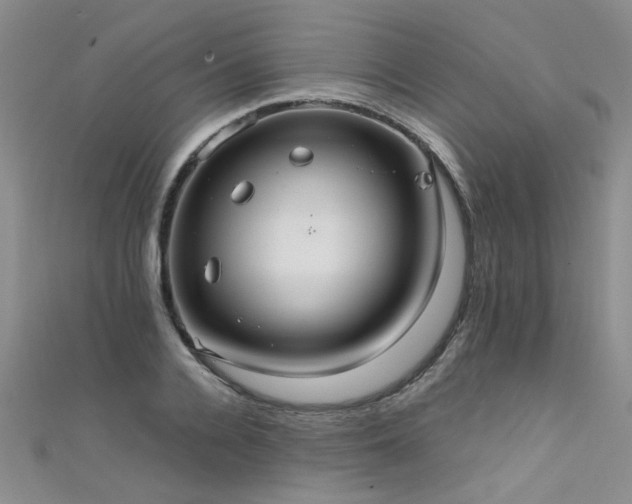 X0000111520936200907141505
