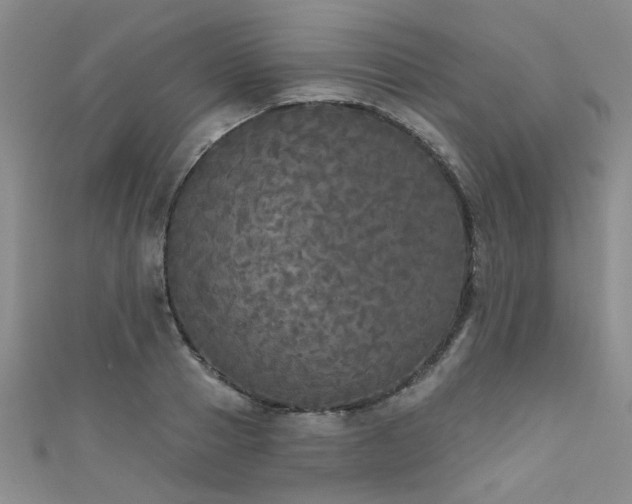 X0000111520937200907141505