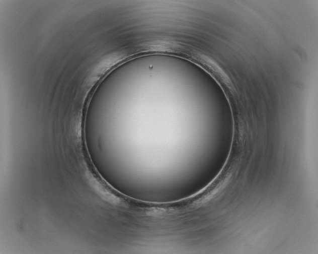 X0000111520938200907141505