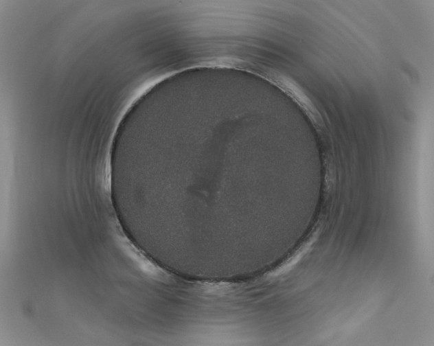 X0000111520940200907141505
