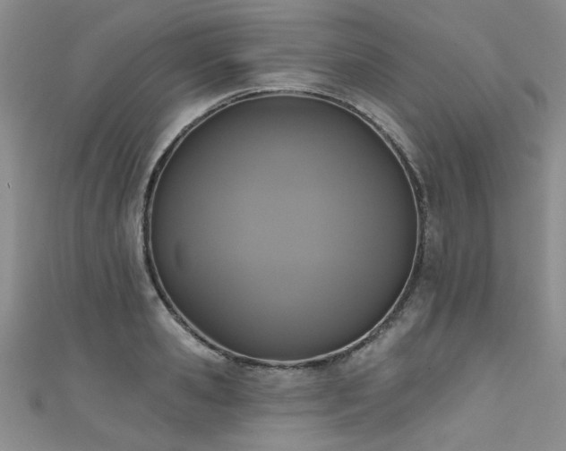 X0000111520941200907141505