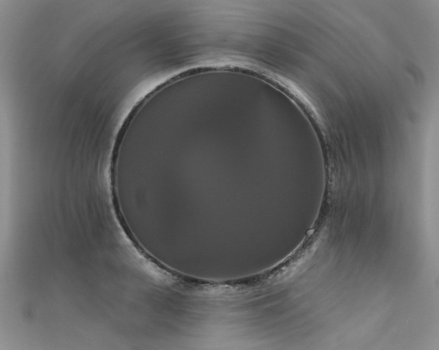 X0000111520943200907141505