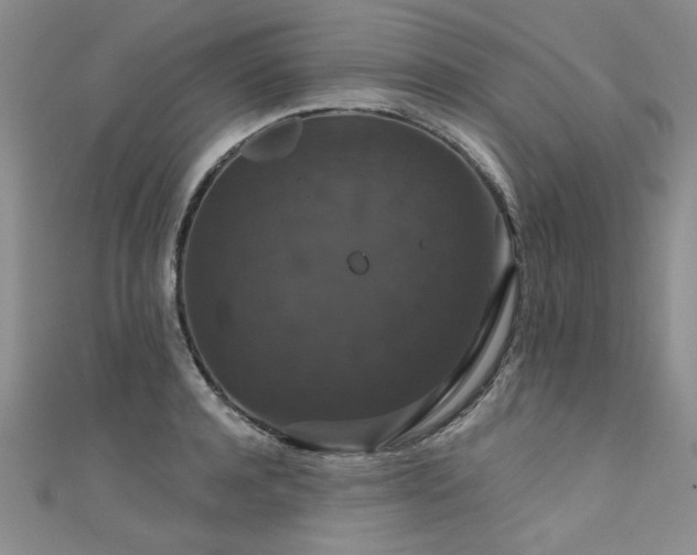 X0000111520944200907141505