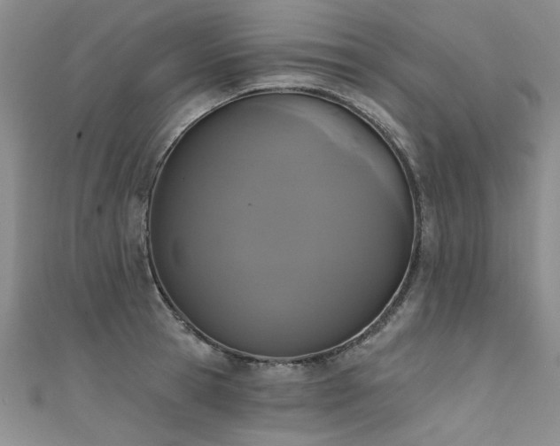 X0000111520945200907141505