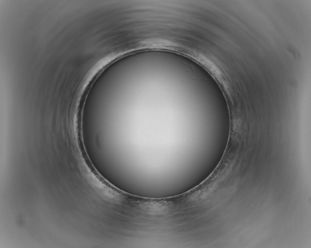 X0000111520947200907141505