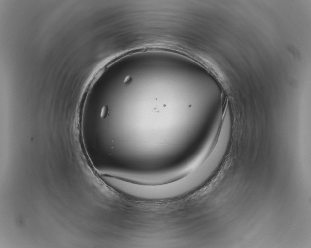 X0000111520948200907141505