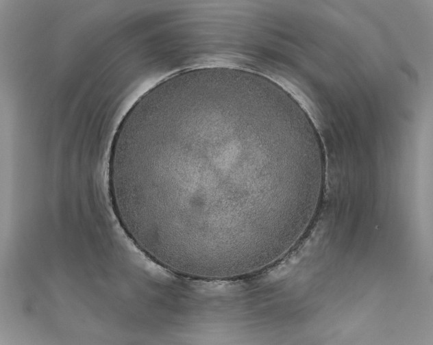 X0000111520949200907141505