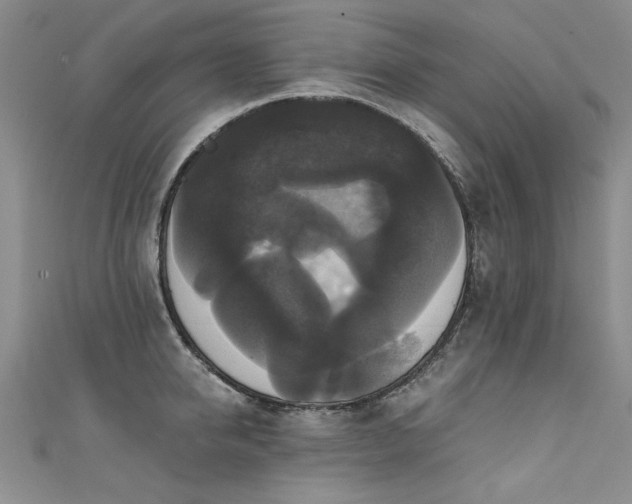 X0000111520950200907141505