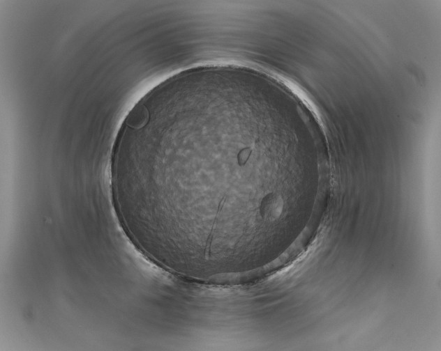 X0000111520951200907141505