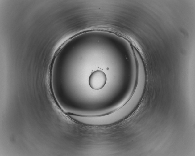X0000111520952200907141505