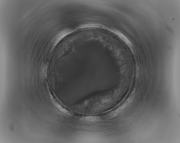 X0000111520953200907141505